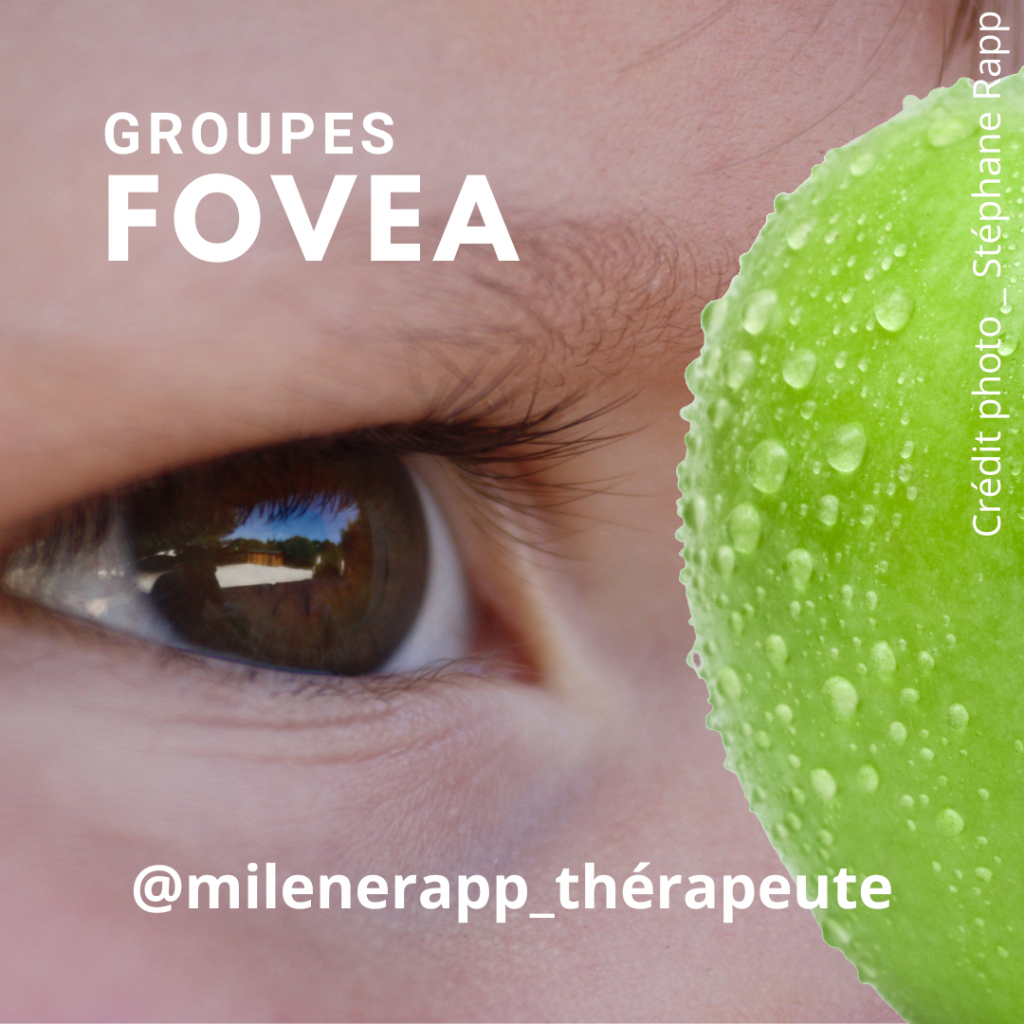 EMDR MOSAIC VITTOZ FOVEA BORDEAUX